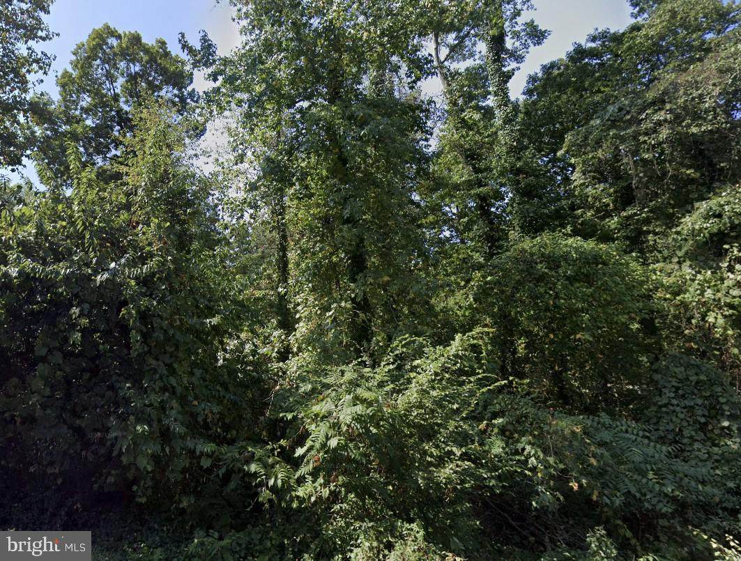 646 White Rock Road - Photo 1