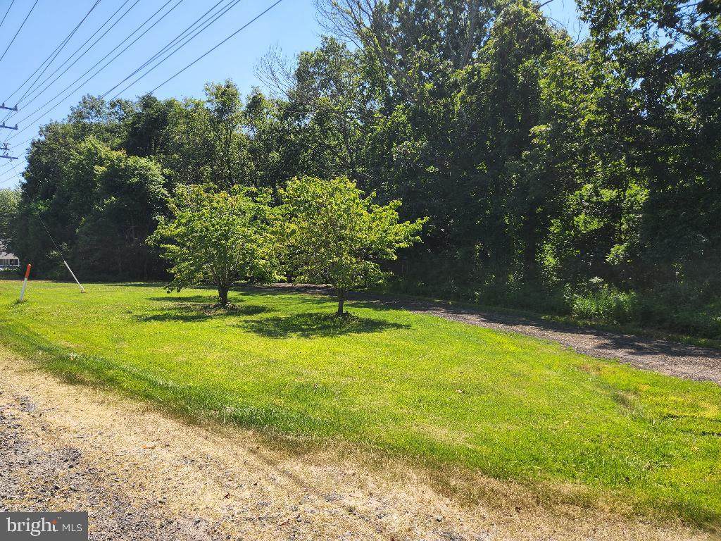 13112 Canova Drive - Photo 1