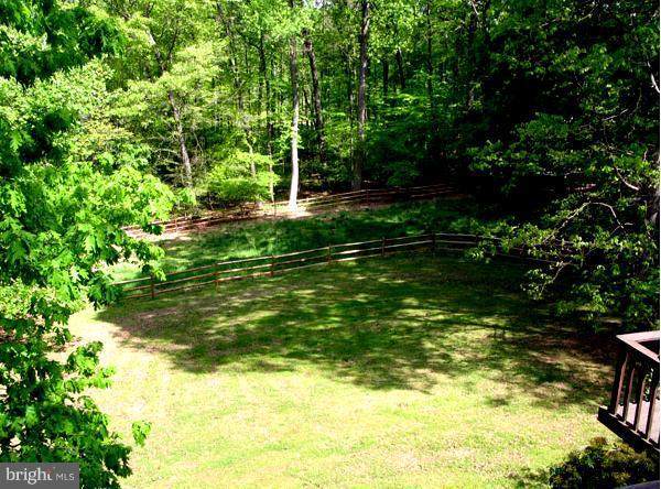 11800 Wolf Run Lane - Photo 1