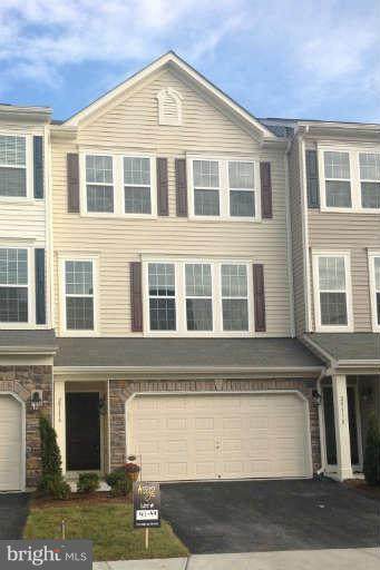 25116 Sweet Myrtle Square - Photo 1