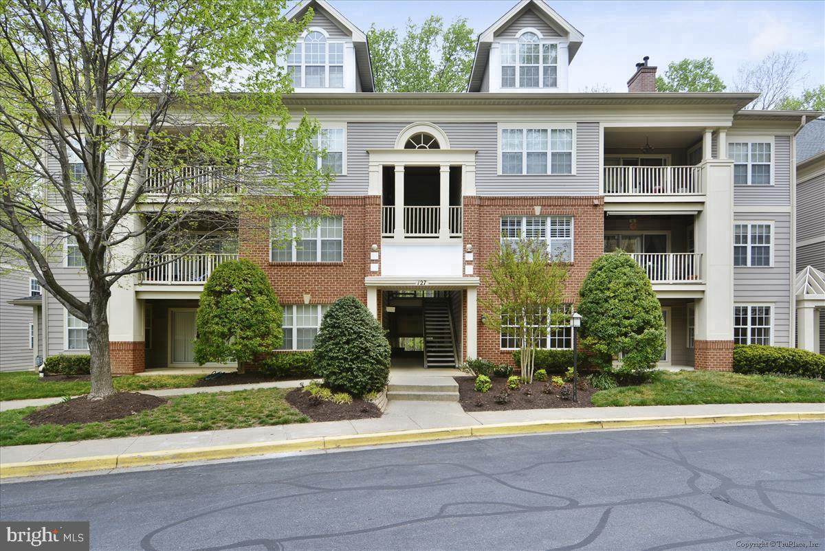 109 Timberbrook Lane - Photo 1