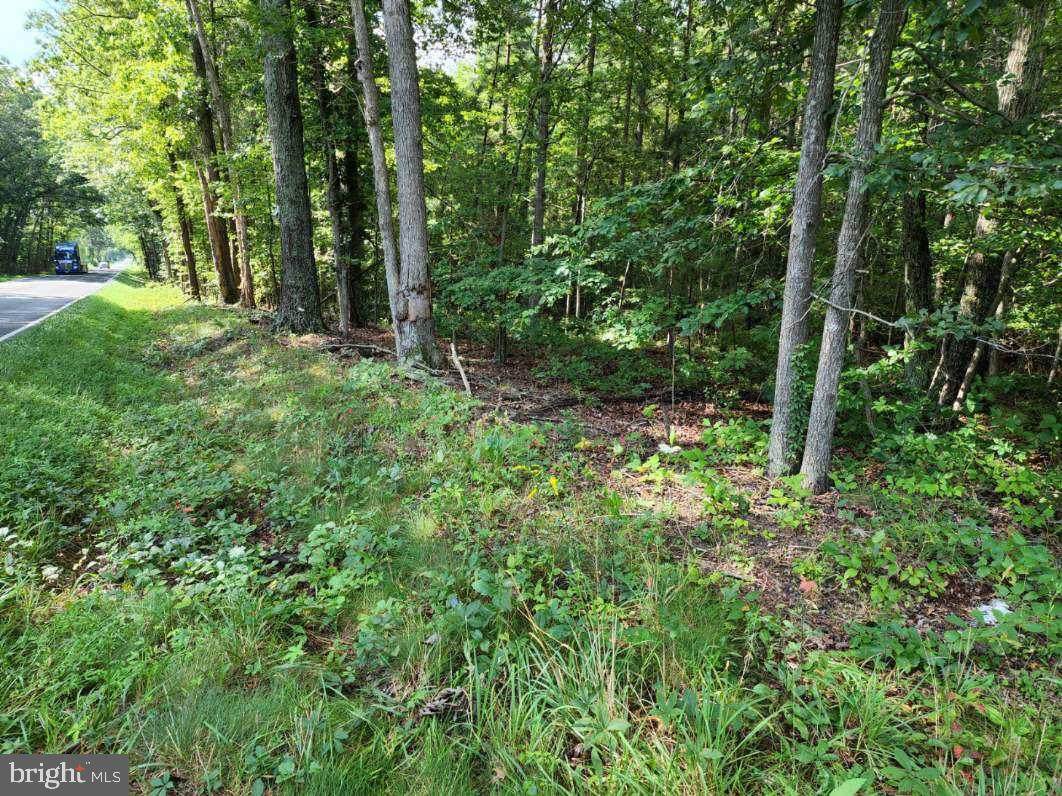 0 Whippoorwill Dr, X 4 And Chickadee Ct X 4 - Photo 1