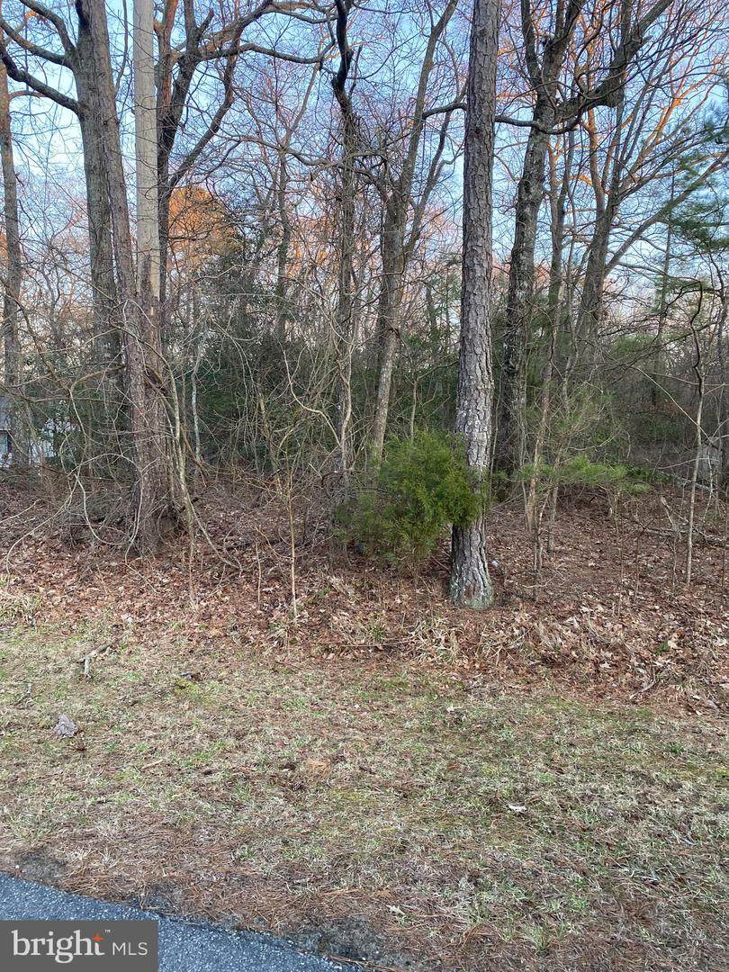 2001 Wildwood Trail - Photo 1