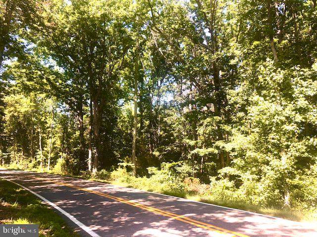 Annapolis Woods Road - Photo 1