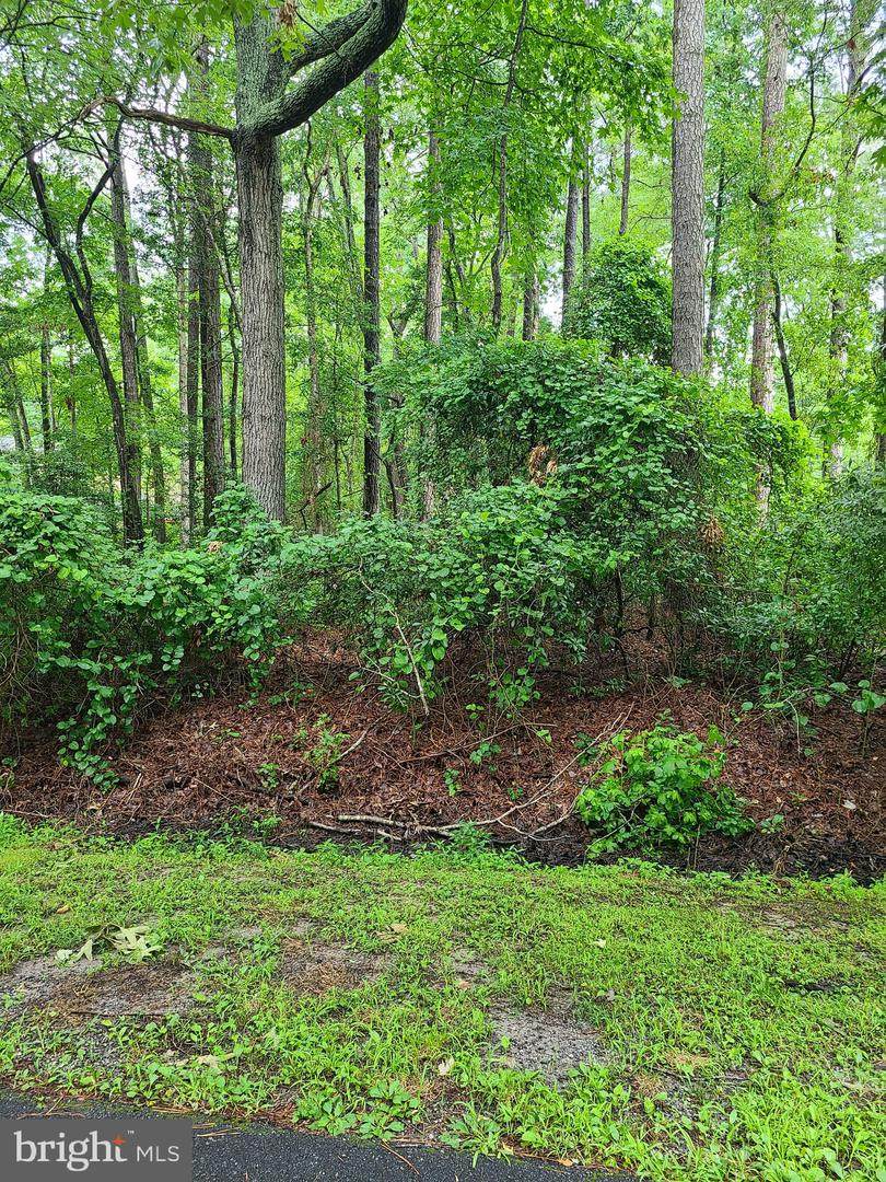10 High Sheriff Trail - Photo 1