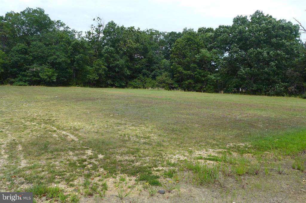 4703 Pennsylvania Avenue - Photo 1