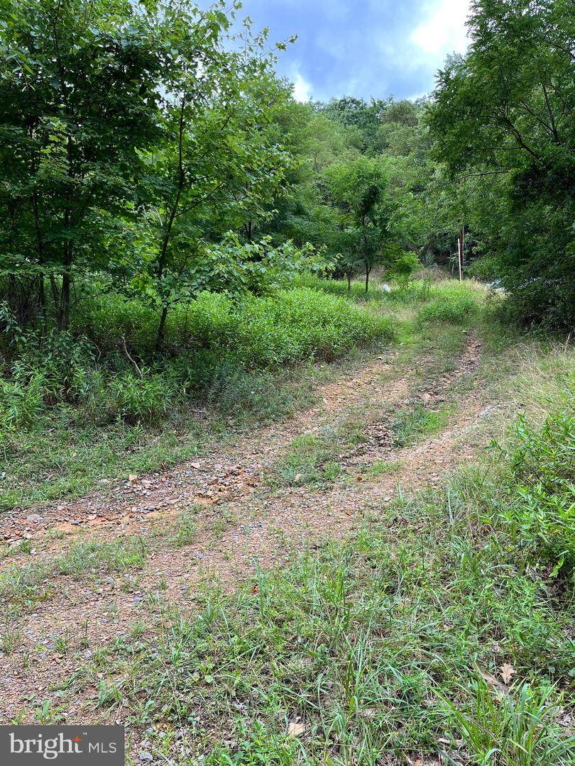 293 Marty Lane - Photo 1