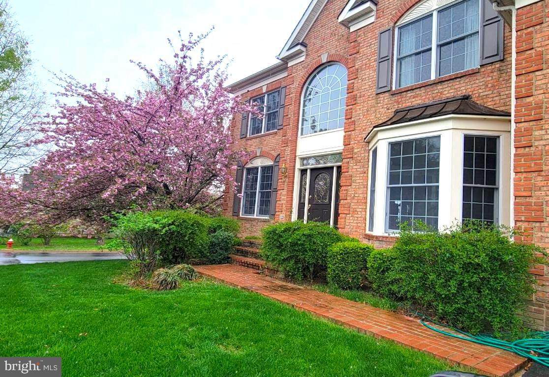 43861 Arborvitae Drive - Photo 1
