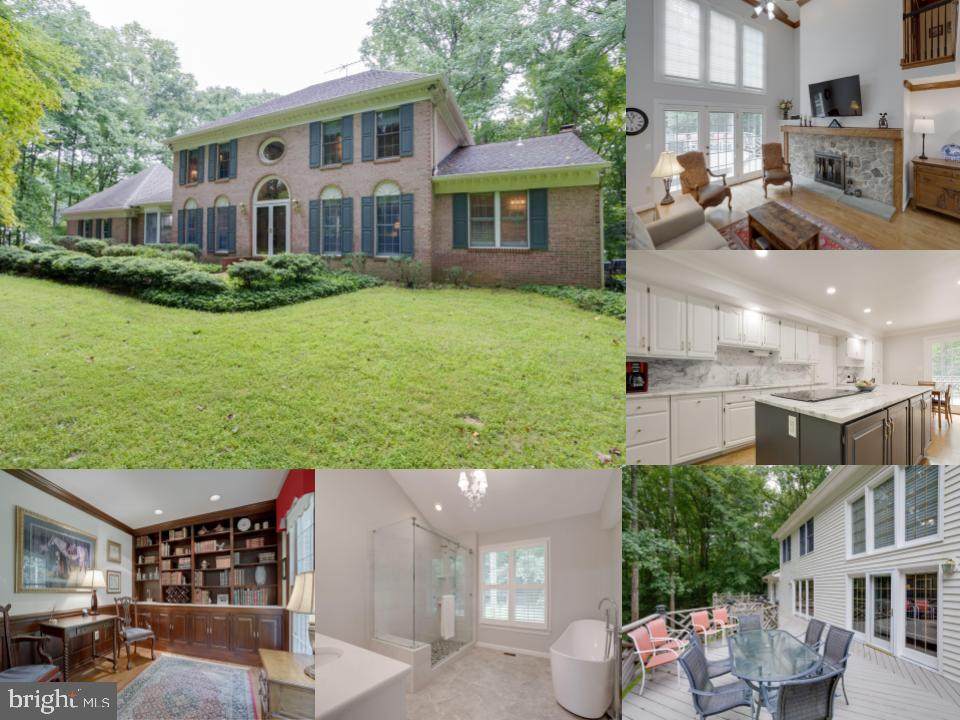 8312 Cathedral Forest Drive - Photo 1