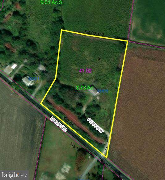 35670 Puppy Way - Photo 1