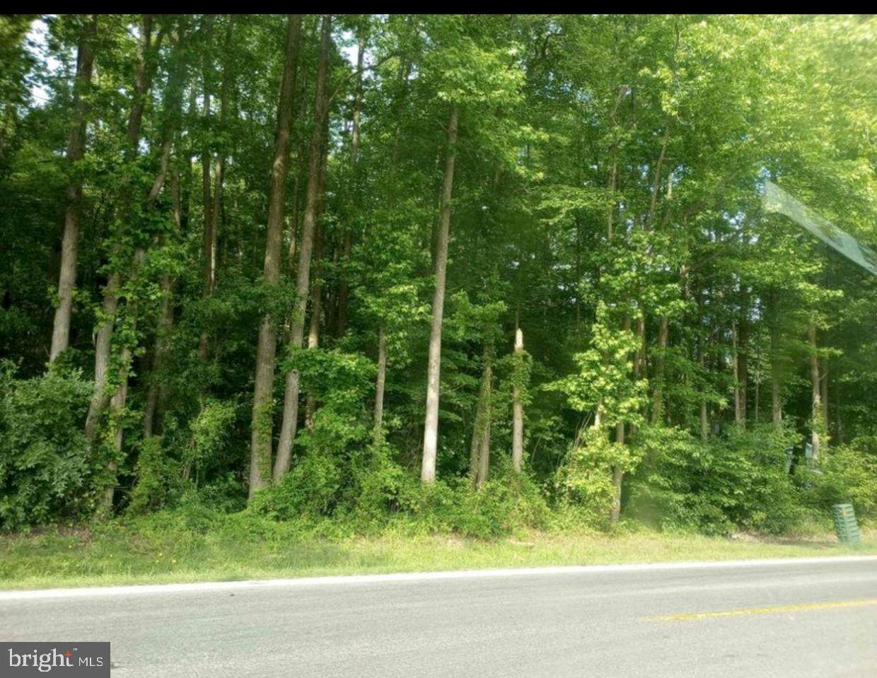12374-NEXT DOOR Galena Rd - Photo 1