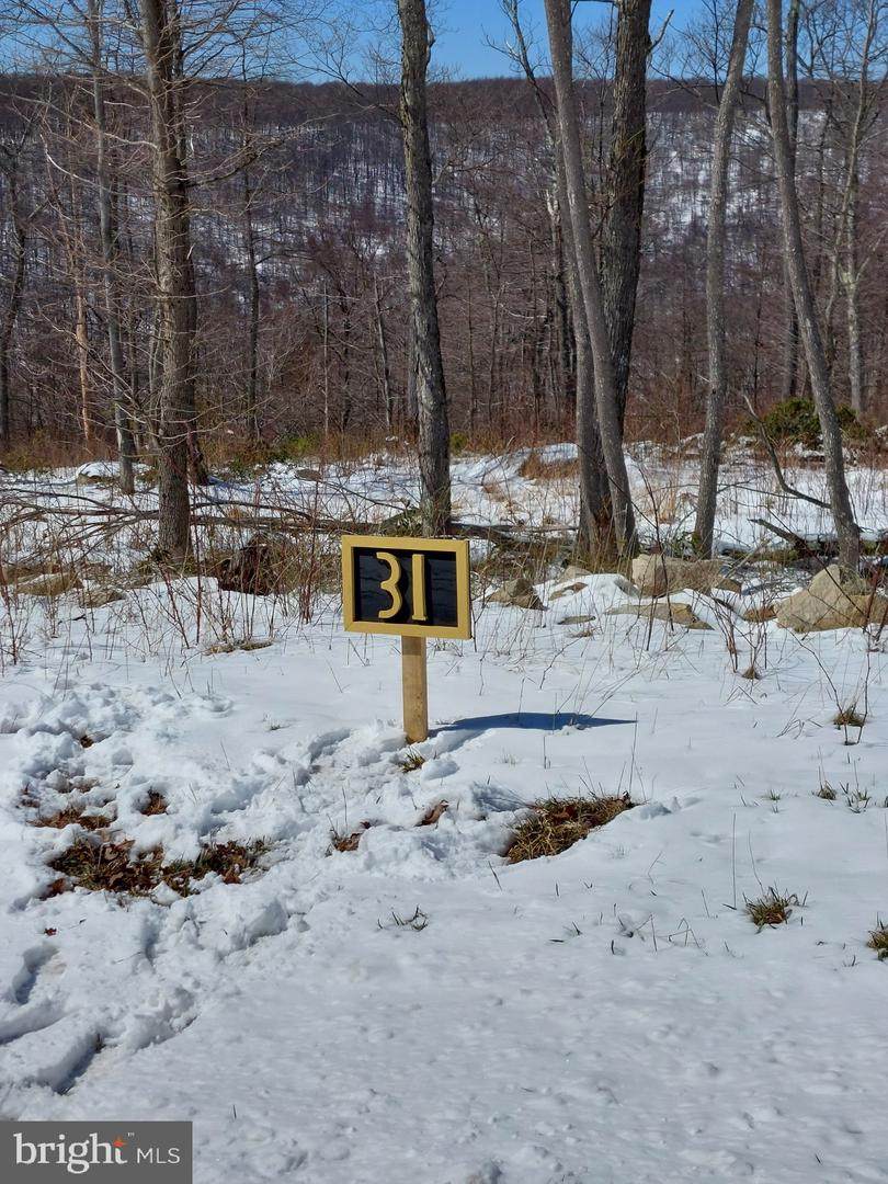 Lot 31 North Camp - Photo 1