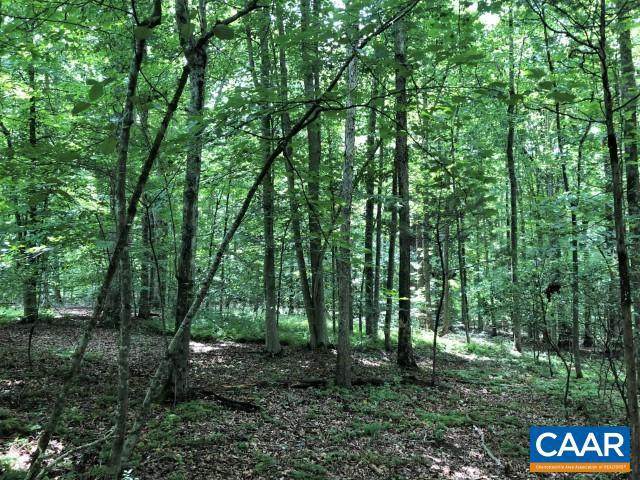 Lot 43 Foxwood Dr - Photo 1
