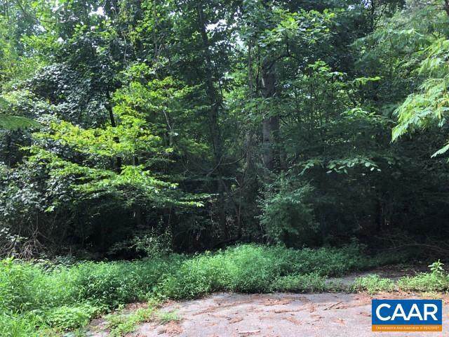 Lot 1 Preddy Creek Rd - Photo 1