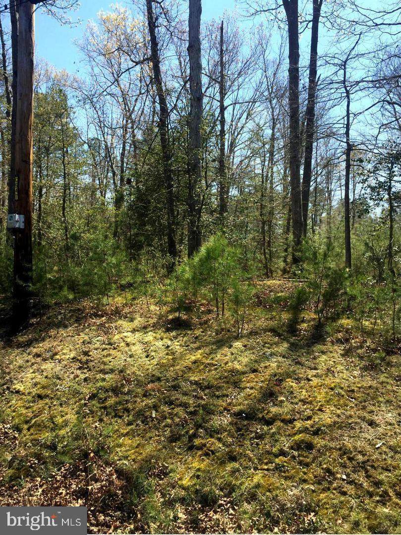 22569 Point Lookout Road - Photo 1