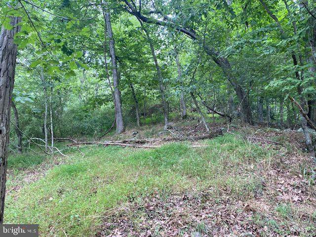 Patterson Creek Road - Photo 1