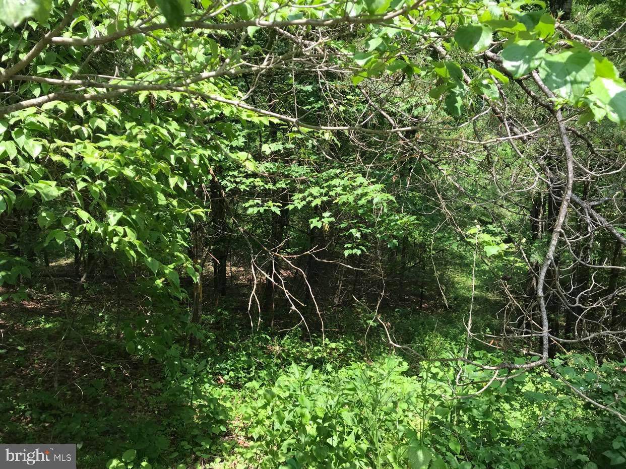 0 Willow Lane - Photo 1