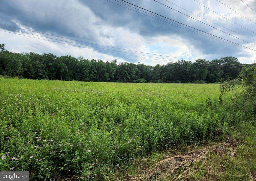 002 Sandy Valley Road - Photo 1