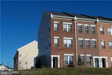 42381 Goldenseal Square - Photo 1