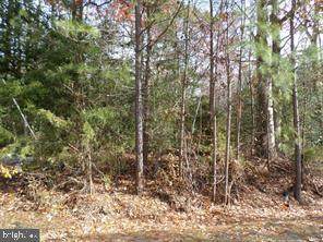 Monroe Boulevard - Photo 1
