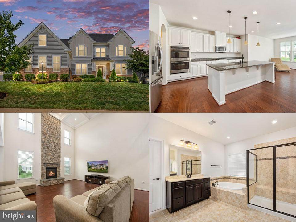 42668 Lobelia Place - Photo 1