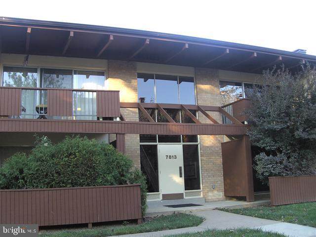 7813 Enola Street - Photo 1
