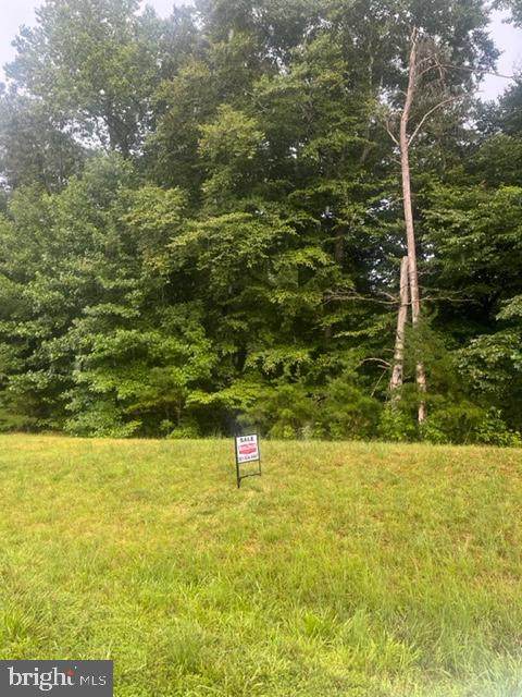 4823 Blueberry Drive - Photo 1