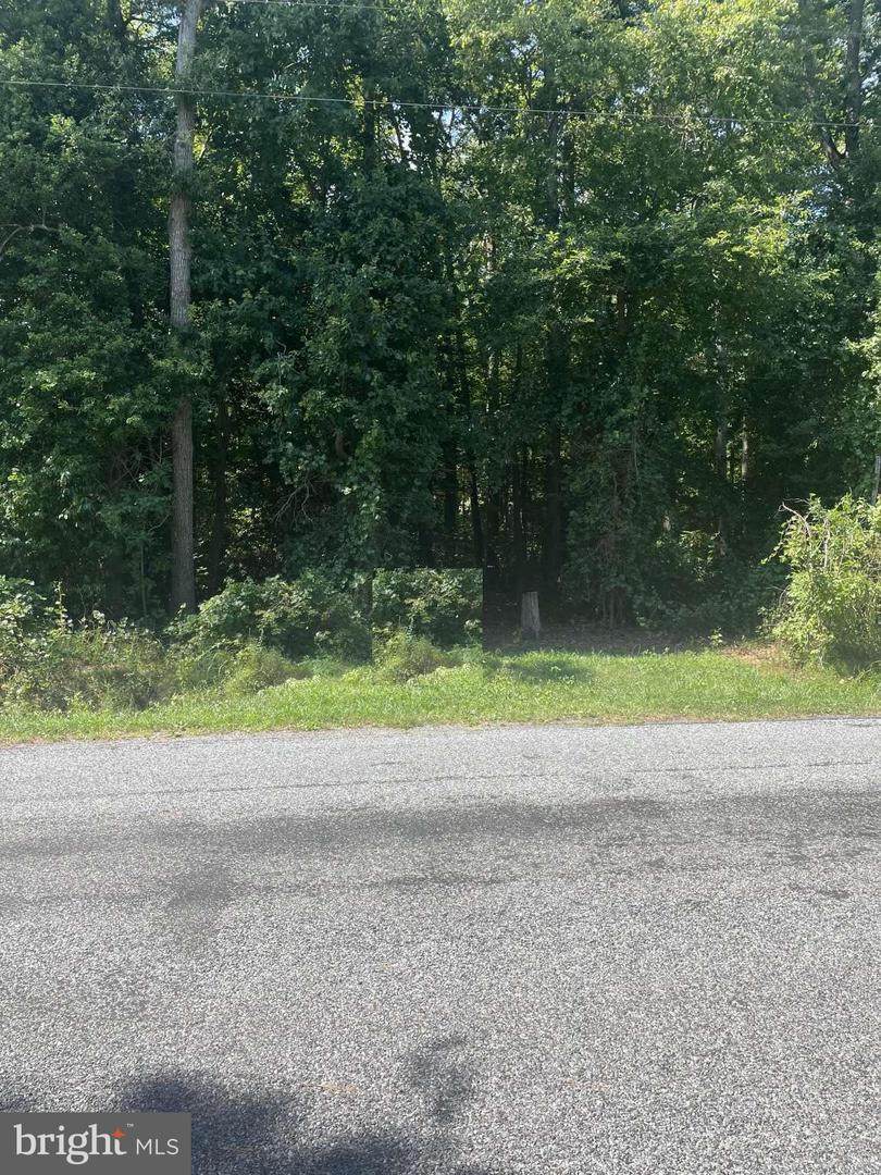 0 Beaver Dam Rd - Photo 1