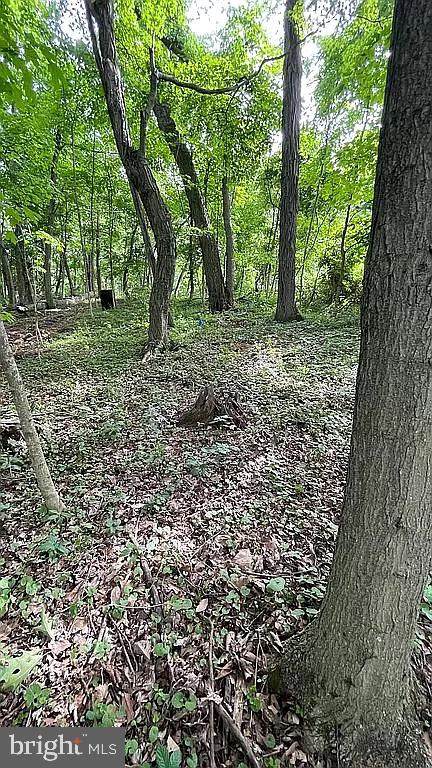 9 Tiger Trail - Photo 1
