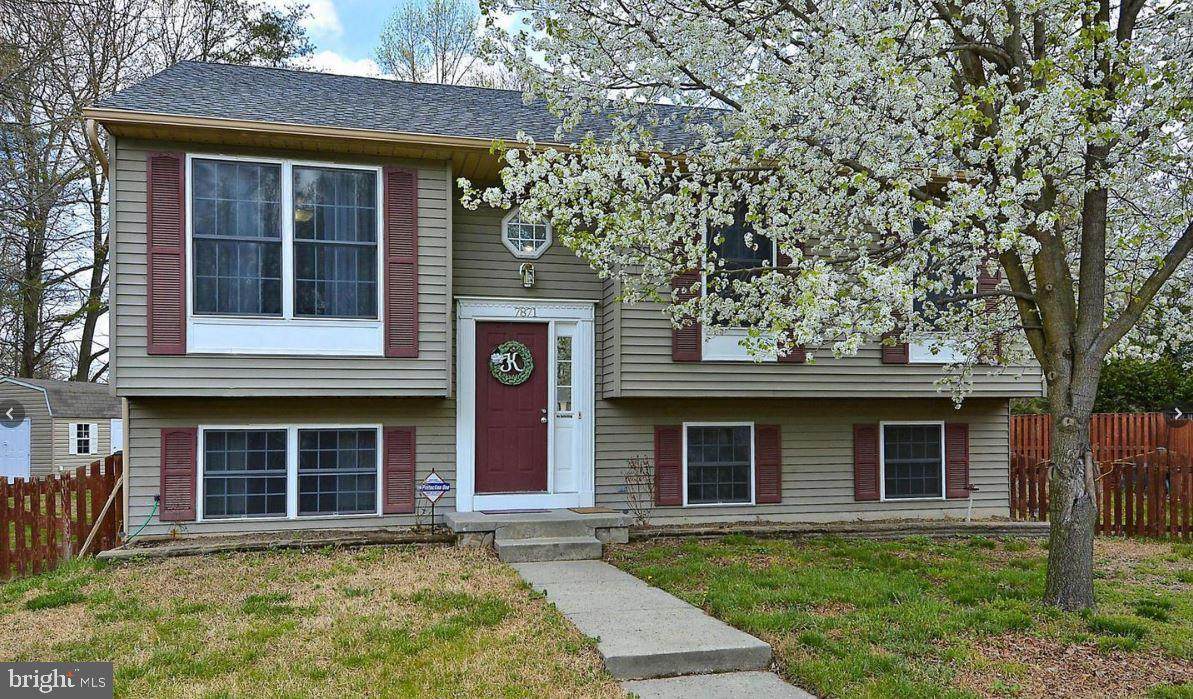 7871 Dero Drive - Photo 1