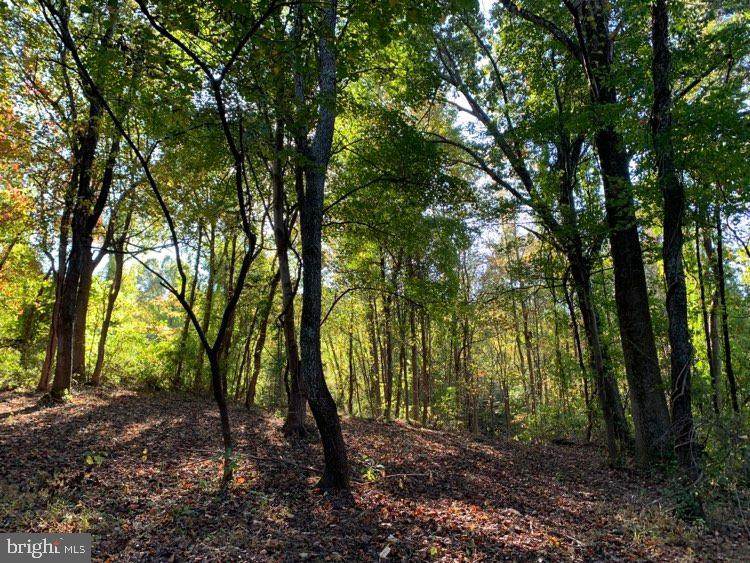 Fiery Run Rd - Photo 1