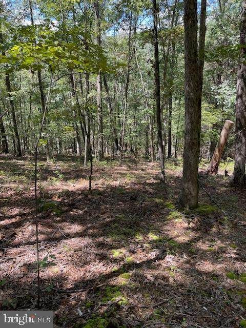 Lot 50 Davids Road - Photo 1