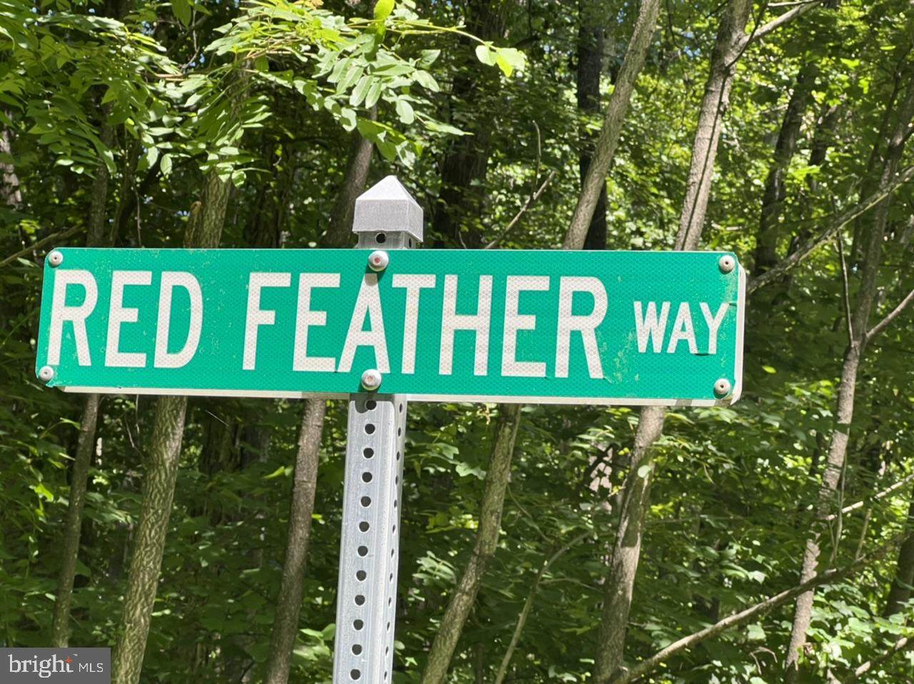 3 Red Feather Way - Photo 1