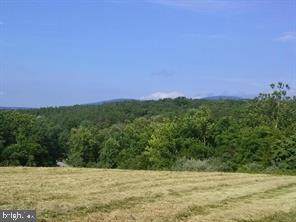 Lot 2A Mountain Broo Mountain Brook Lane - Photo 1