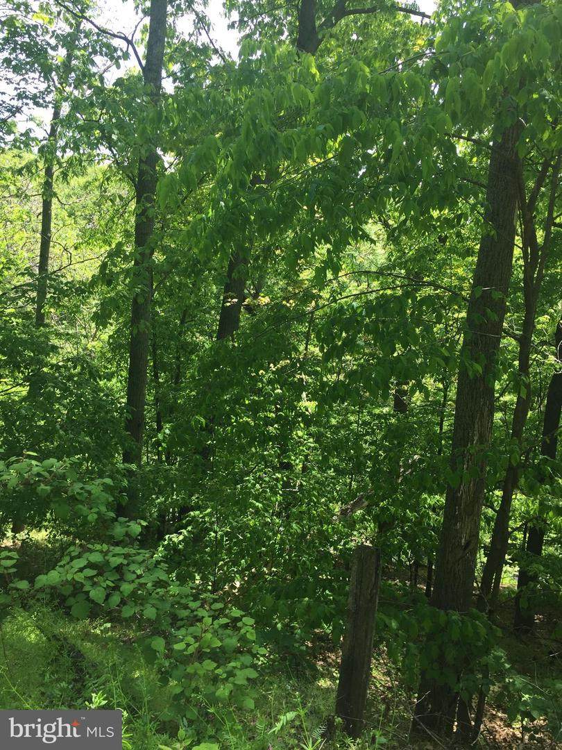 6897 Oakcrest - Photo 1