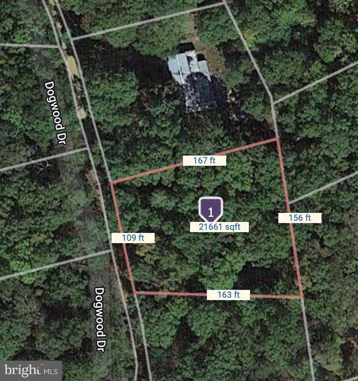 91 Dogwood - Photo 1