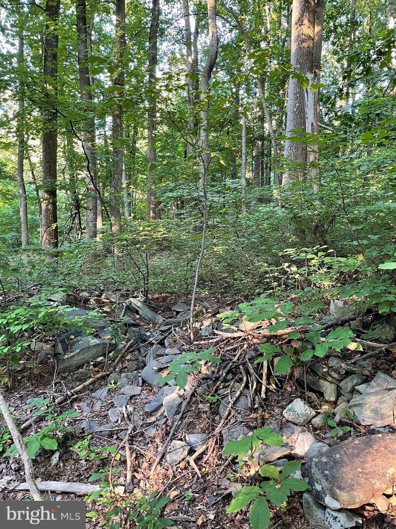 Rt #718 Ashbury Church Rd, Lot1 - Photo 1