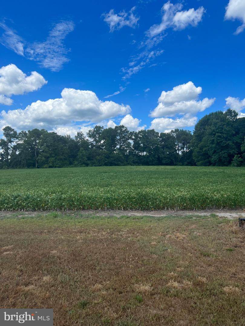0 Scotty Road - Photo 1