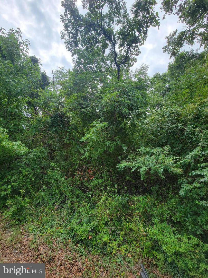 0 Temple Road - Photo 1