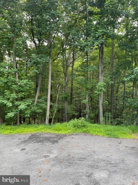 2918 Jackson Drive - Photo 1