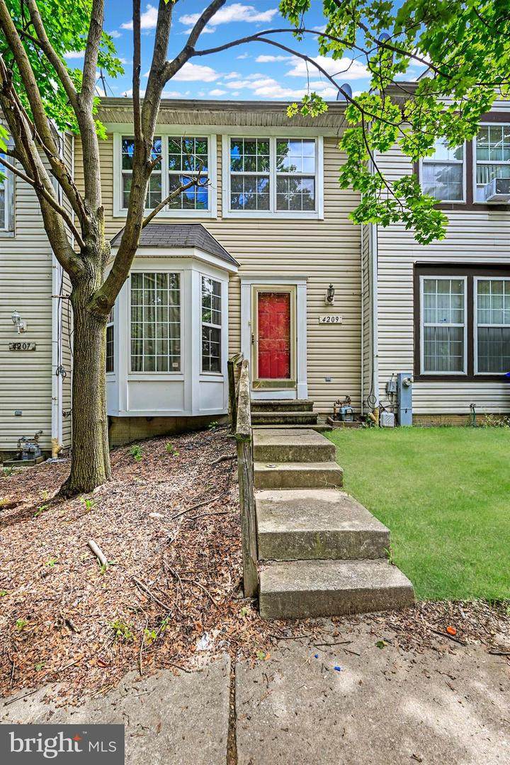 4209 Pascal Avenue - Photo 1