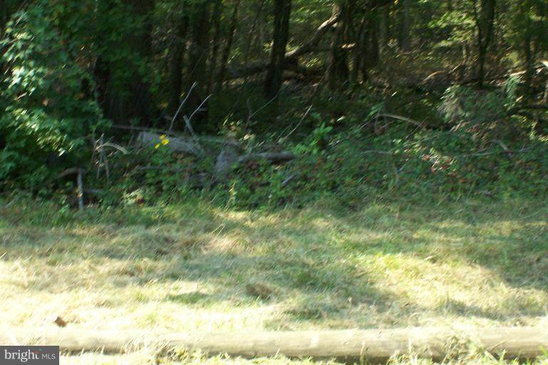 Lot 25 Mckinney Blvd - Photo 1