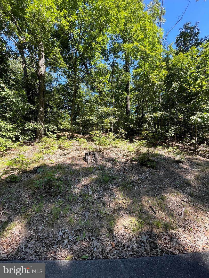 Silkwood Drive - Photo 1