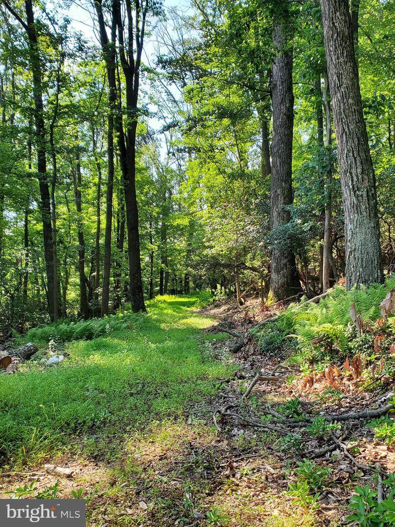 7985 Jackson Mountain - Photo 1
