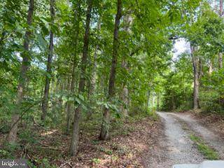 9924 Talley Road - Photo 1
