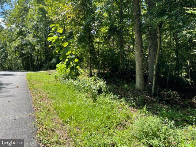 Lot 46 Mckinley Drive - Photo 1