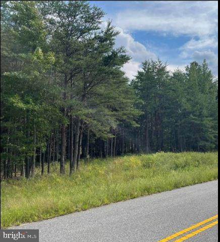 LOT 8 Long Branch Rd - Photo 1