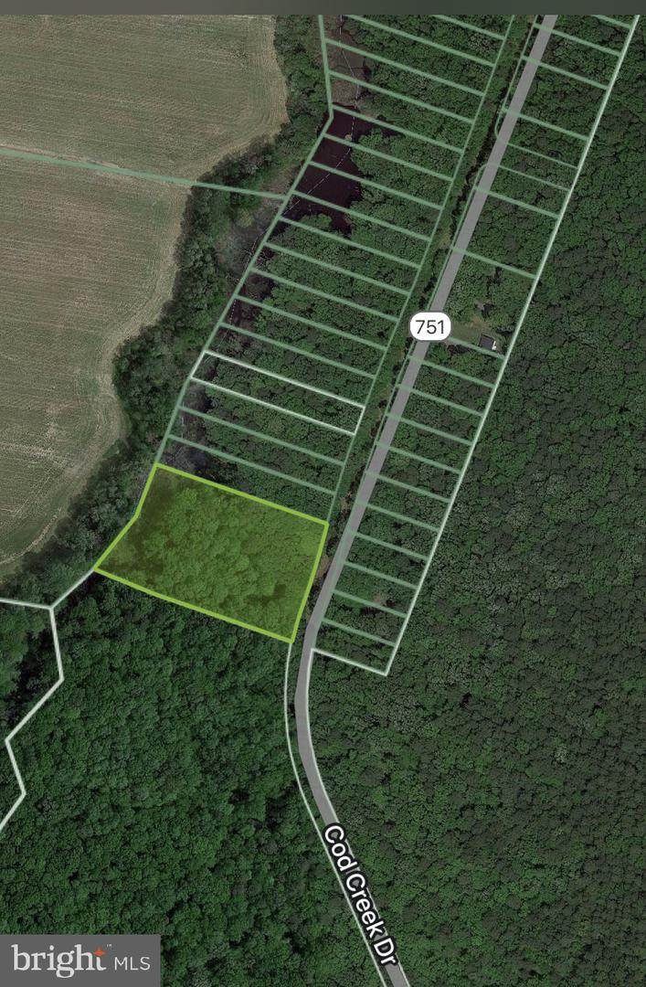 0 Cod Creek Drive - Photo 1