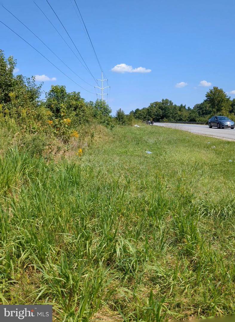 Crain Highway - Photo 1