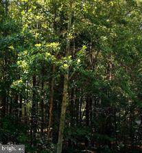1200 Eastover Parkway - Photo 1